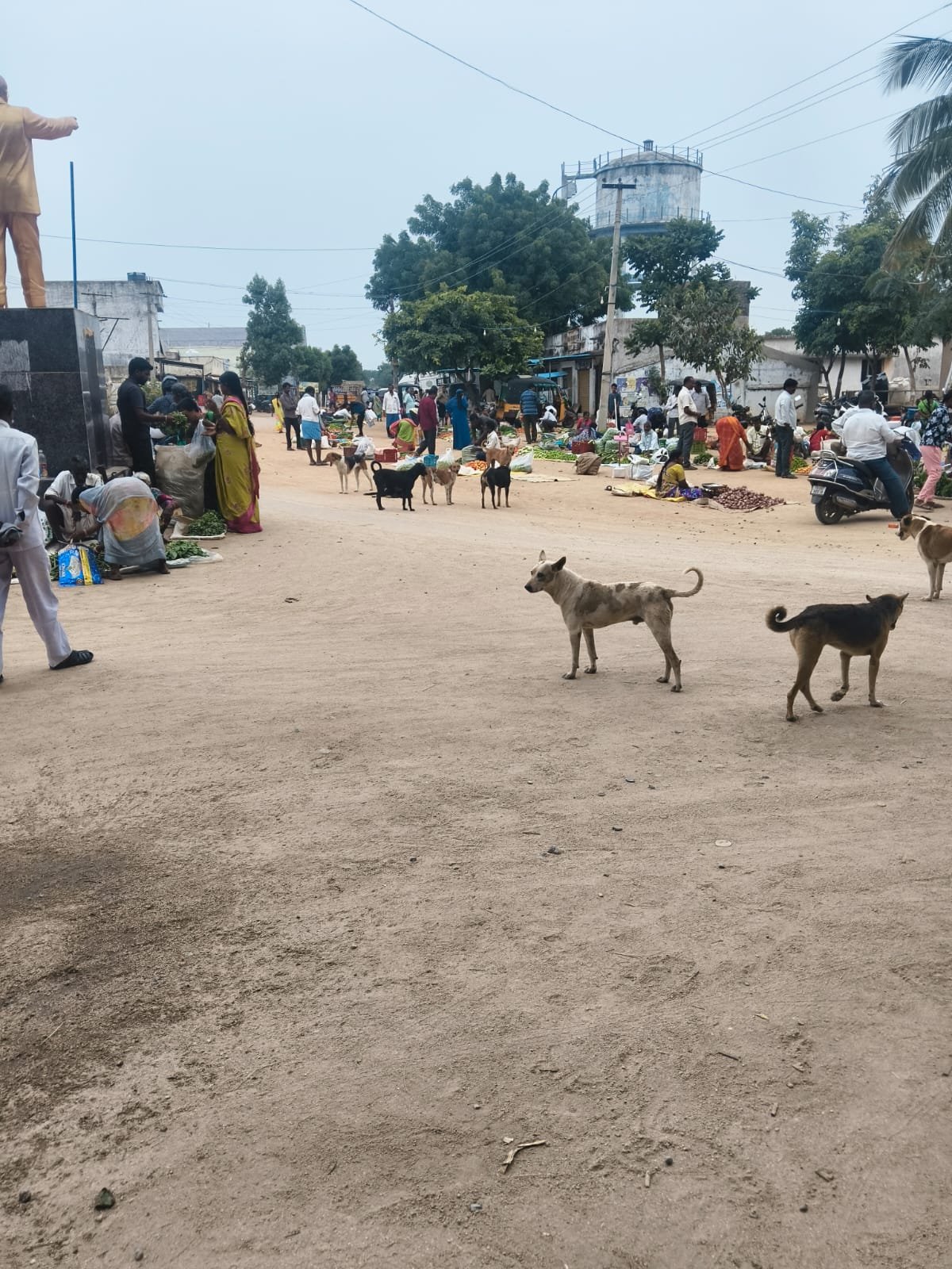 కూరగాయల అంగడి... కుక్కల అడ్డా..| - Additional Image